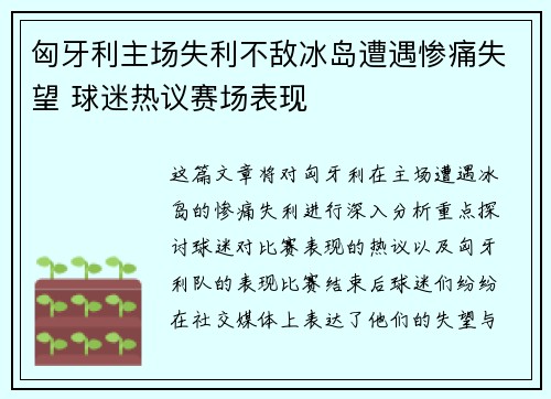匈牙利主场失利不敌冰岛遭遇惨痛失望 球迷热议赛场表现