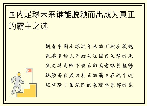 国内足球未来谁能脱颖而出成为真正的霸主之选